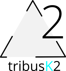 Logo firmowe TribusK2